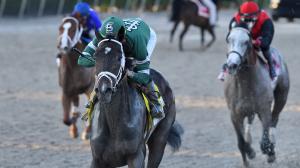 Forte, 2023 Kentucky Derby, Churchill Downs, Triple Crown, Top 3-year-olds, Thoroughbred poll